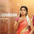 Geetha Govindam (2026): Hidden Facts, Cast, OTT Update